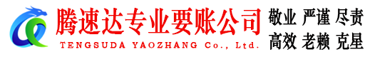 龙子湖清债公司